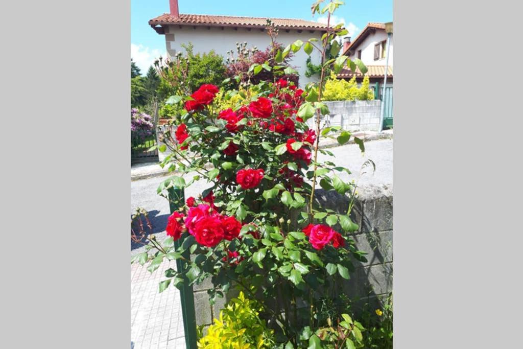 Chalet Familias 10 Huespedes Beranga Noja Playas, Mascotas Bienvenidas ภายนอก รูปภาพ